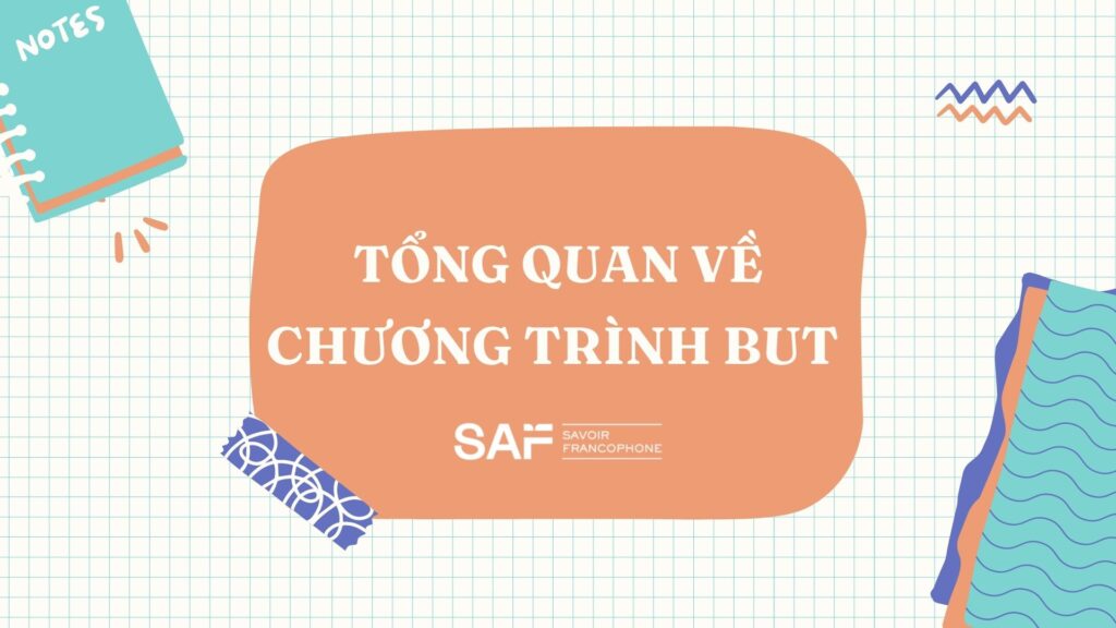 chương trình cử nhân but tại đại học iut 2