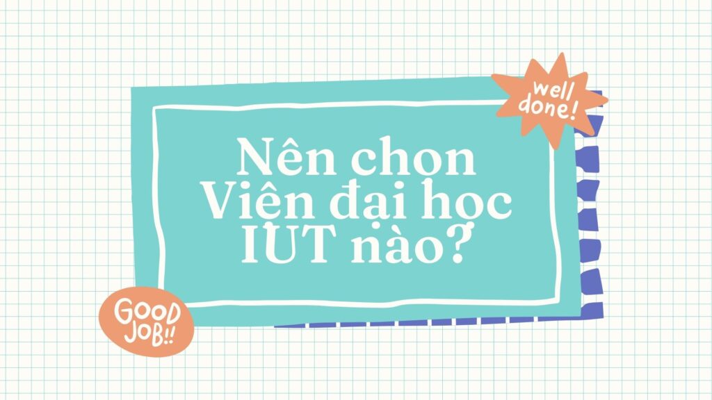 chương trình cử nhân but tại đại học iut